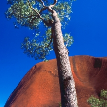 Panoramas_024