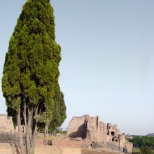 Travel_023